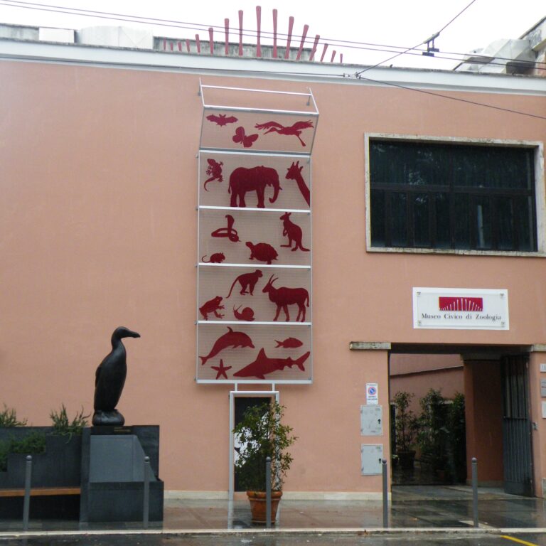 Museo zoologico